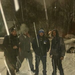 Meet your Posher, Bee